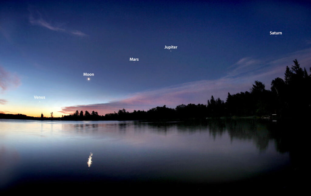 image 14 Lineup 2026