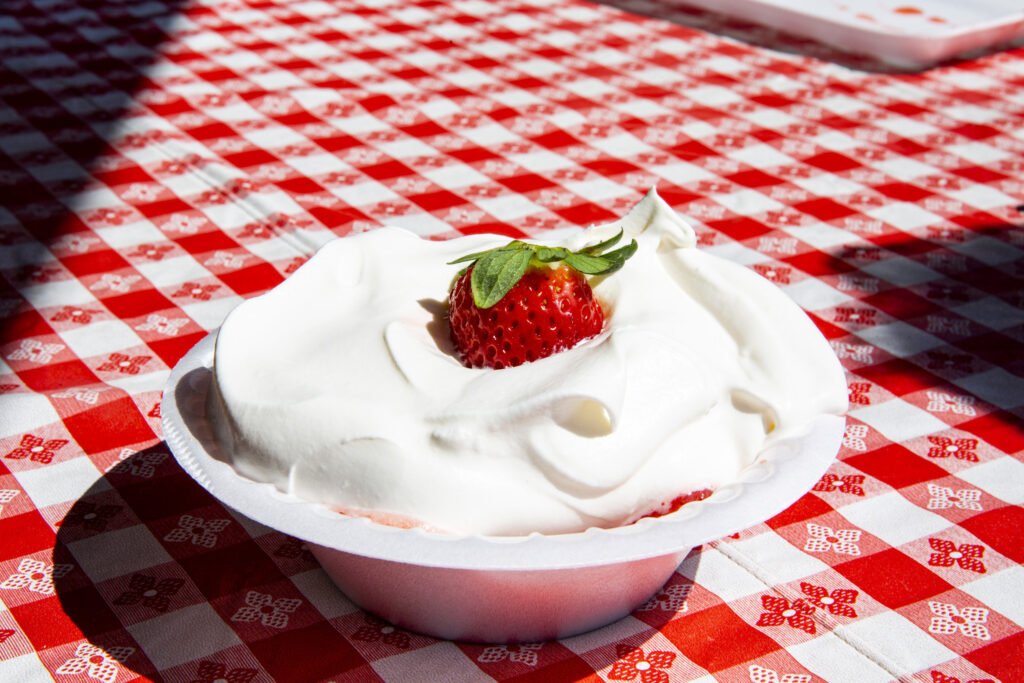 image 178 Lineup 2026