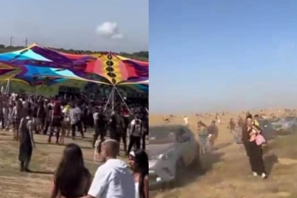 image 268 Lineup 2026