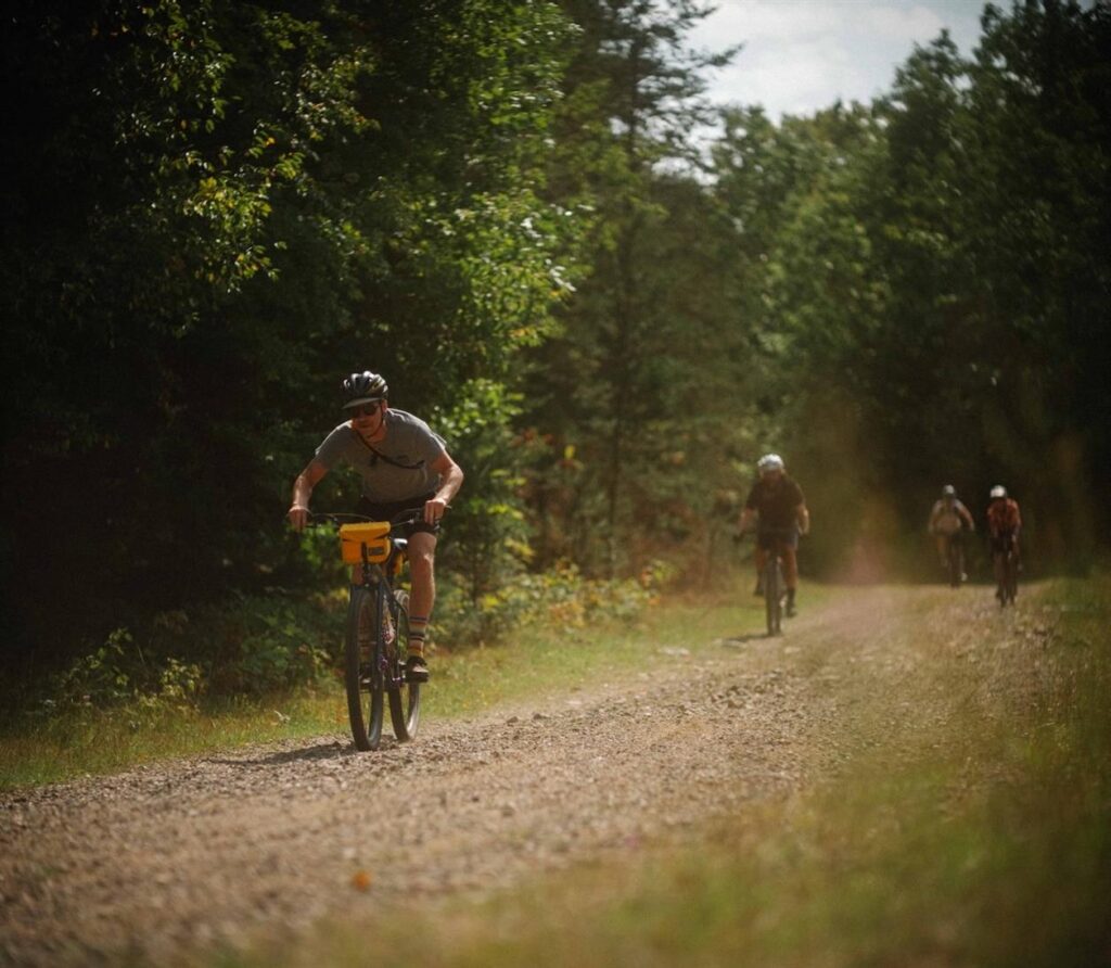 image 278 Lineup 2026