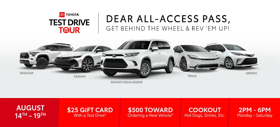 image 73 Lineup 2026