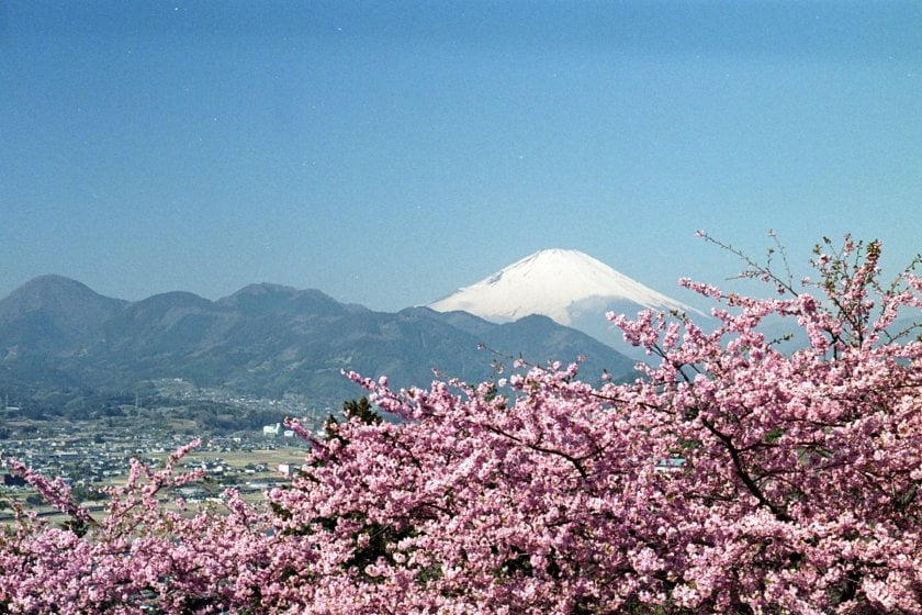 image 204 Lineup 2026