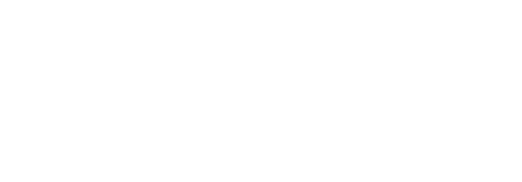 image 224 Lineup 2026