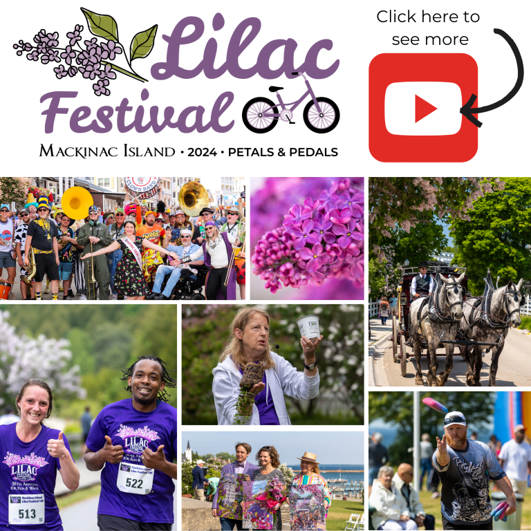 image 229 Lineup 2026