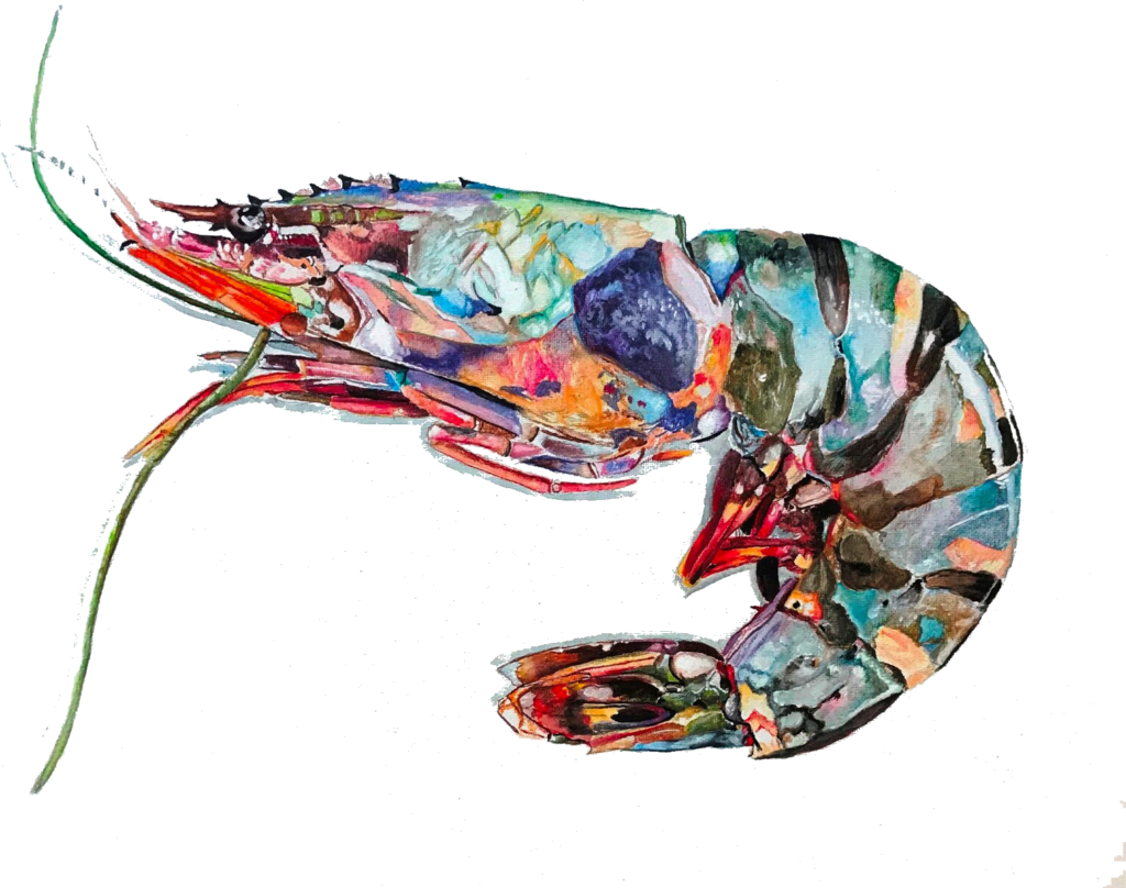 image 23 Lineup 2026