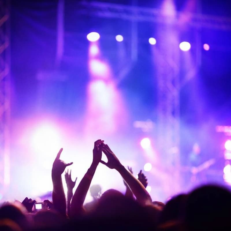 image 282 Lineup 2026