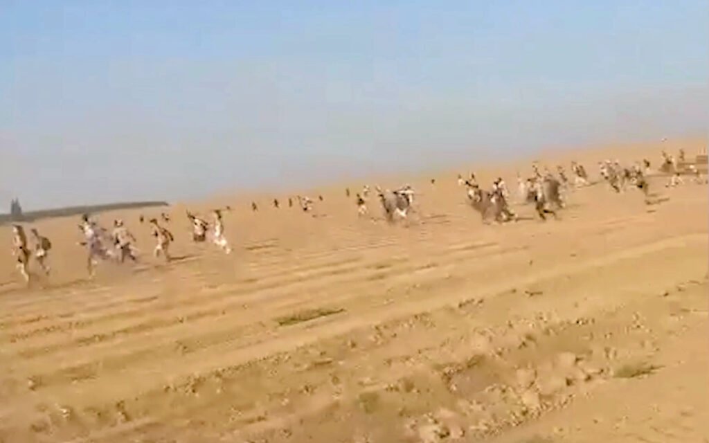 image 323 Lineup 2026