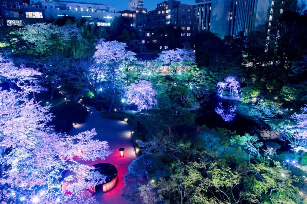 image 337 Lineup 2026