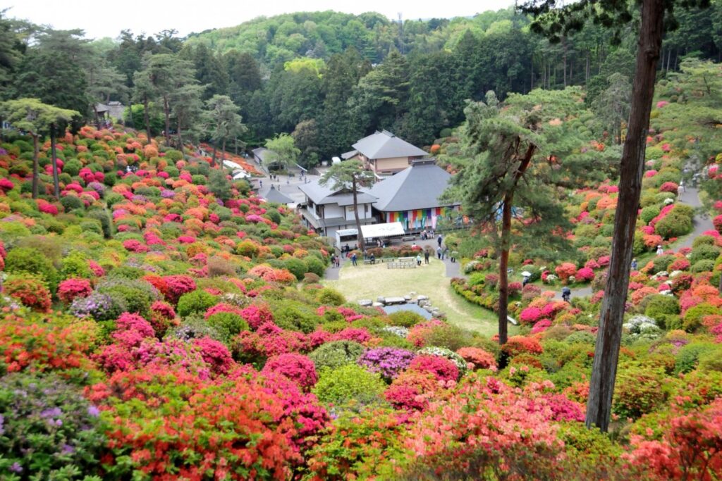 image 357 Lineup 2026