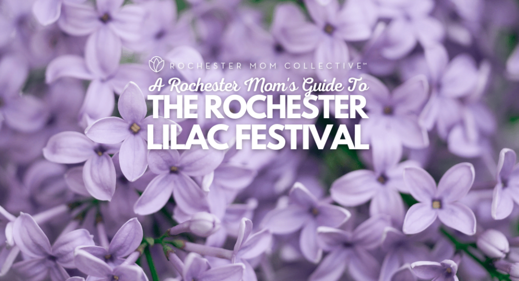 image 39 Lineup 2026