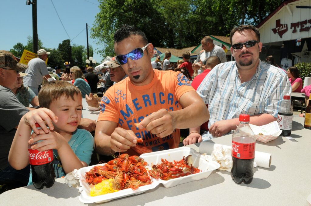 image 44 Lineup 2026