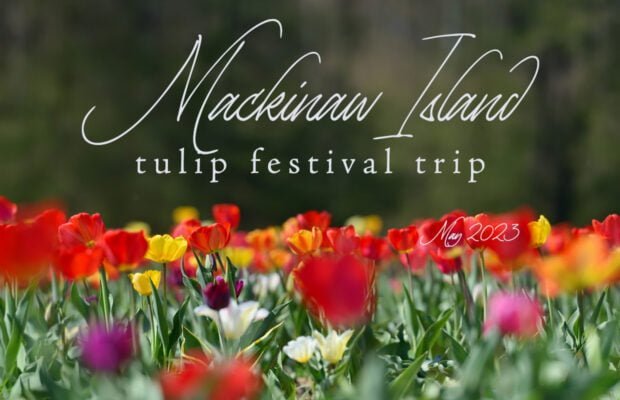 image 513 Lineup 2026