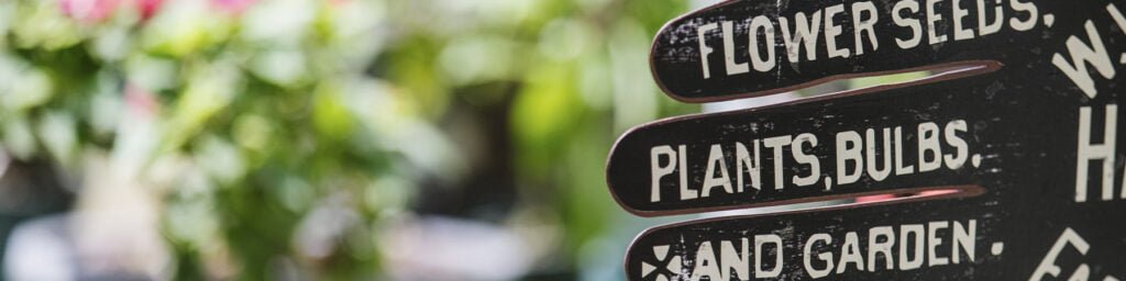 image 546 Lineup 2026