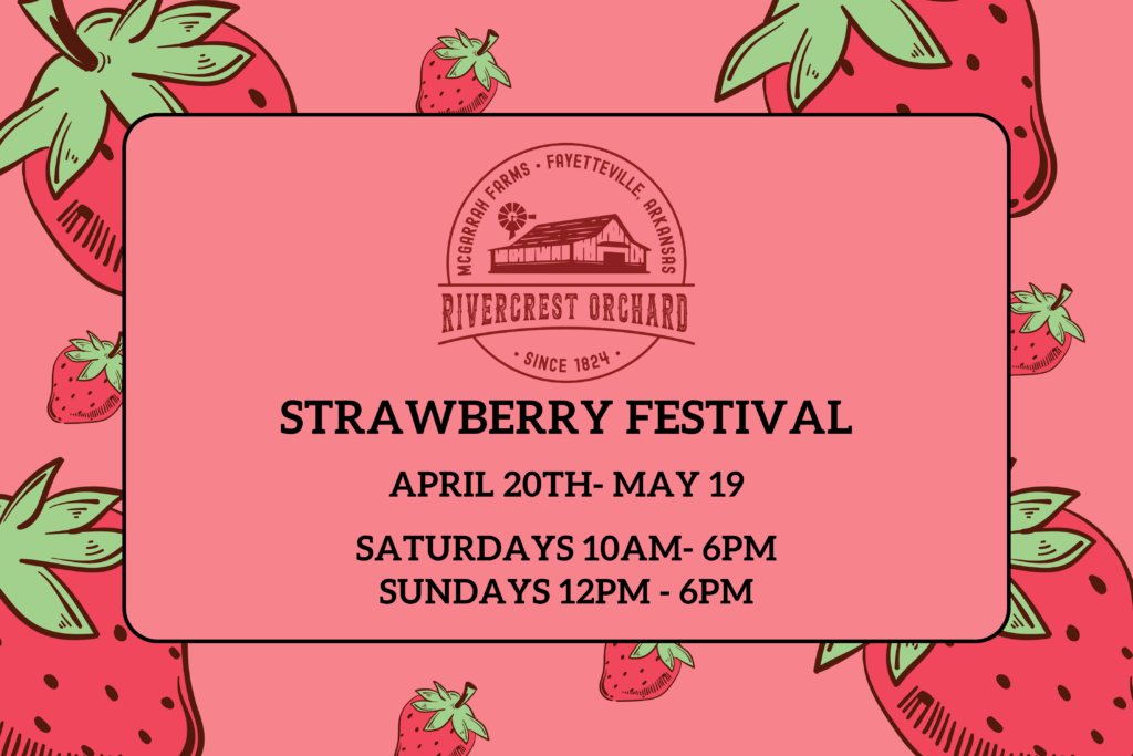 image 59 Lineup 2026