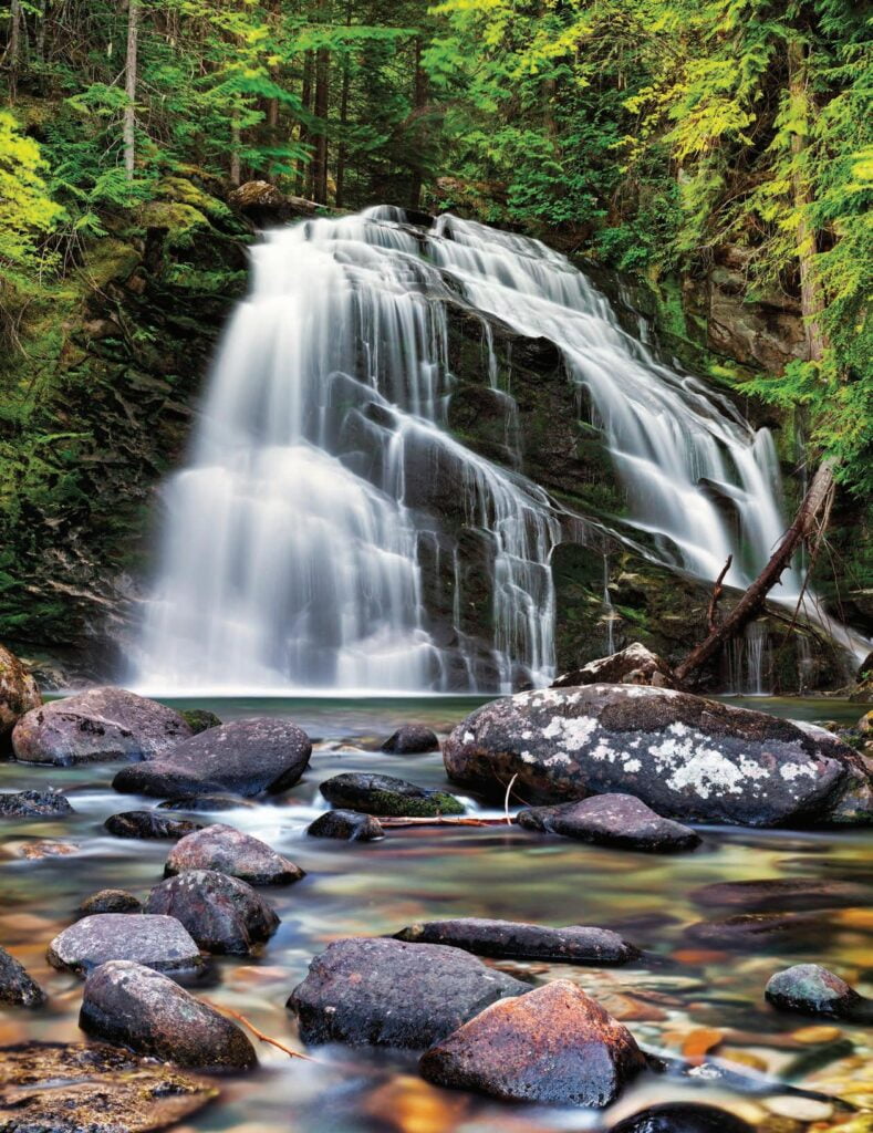 image 706 Lineup 2026