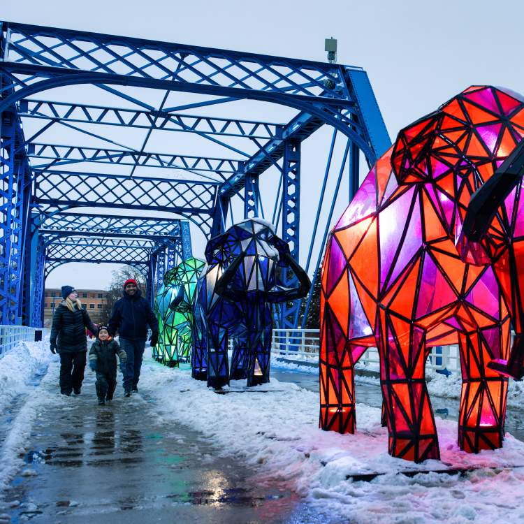 image 715 Lineup 2026