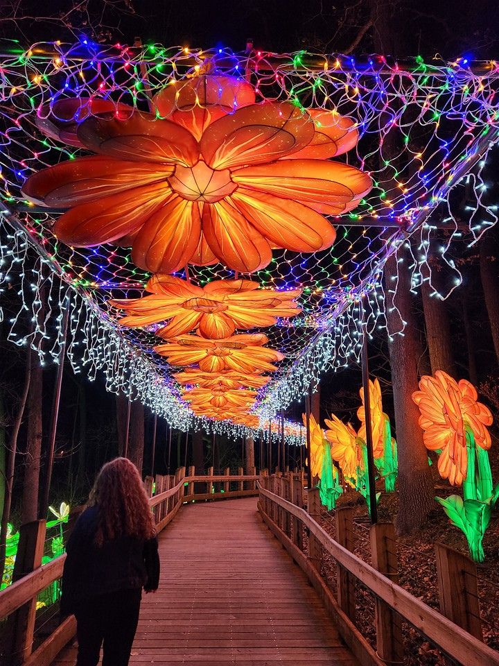 image 716 Lineup 2026