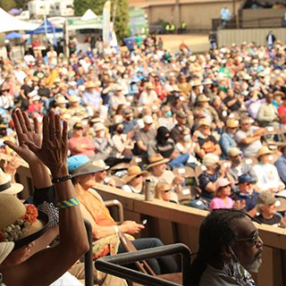 image 731 Lineup 2026