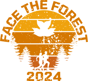 image 101 Lineup 2026