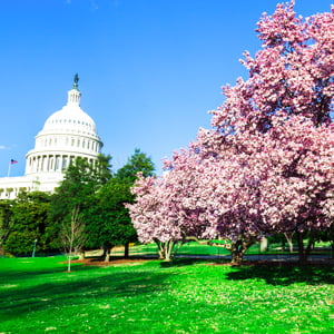 image 1237 Lineup 2026