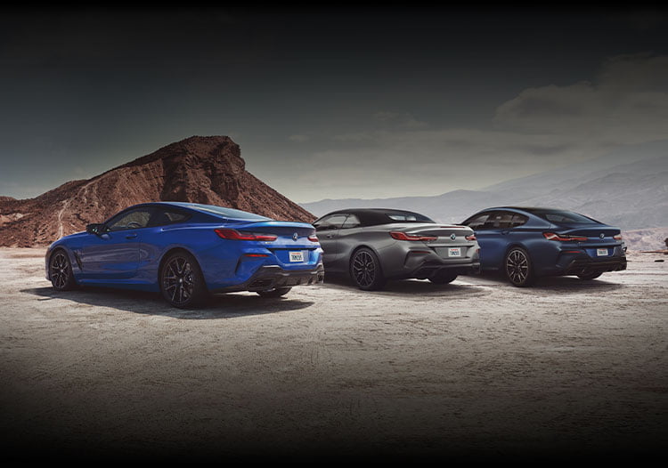 image 144 Lineup 2026