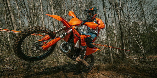 image 148 Lineup 2026