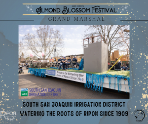 image 157 Lineup 2026