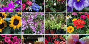 image 1741 Lineup 2026