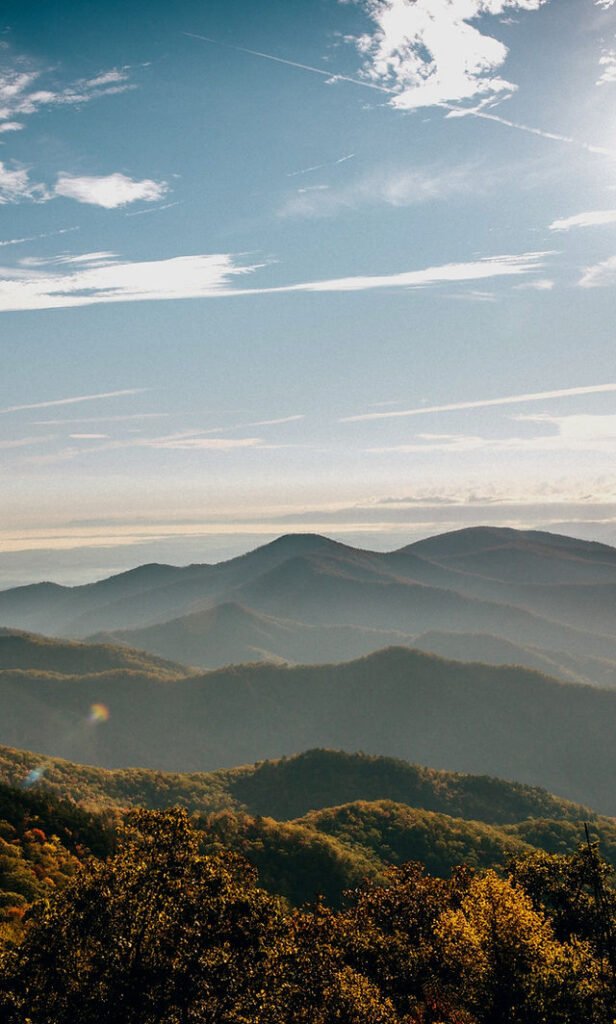 image 1921 Lineup 2026