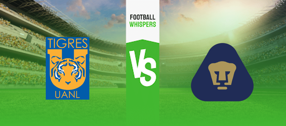 image 206 Lineup 2026