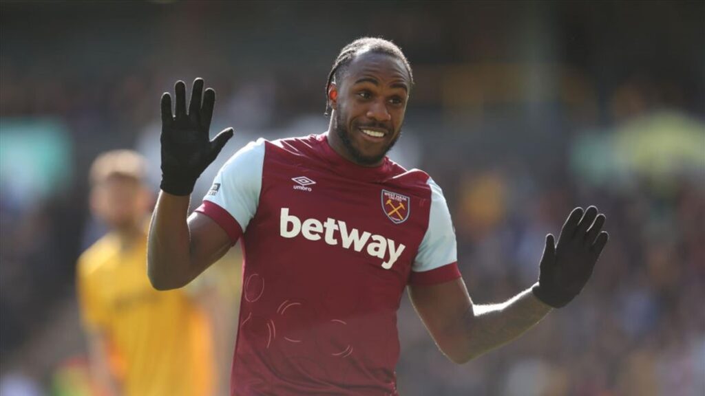 image 36 Lineup 2026