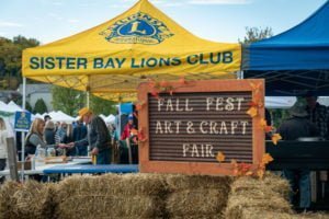 image 391 Lineup 2026