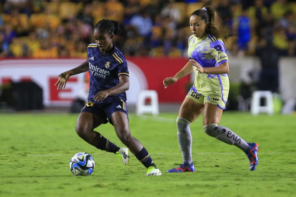 image 413 Lineup 2026