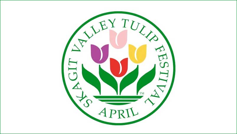 image 428 Lineup 2026