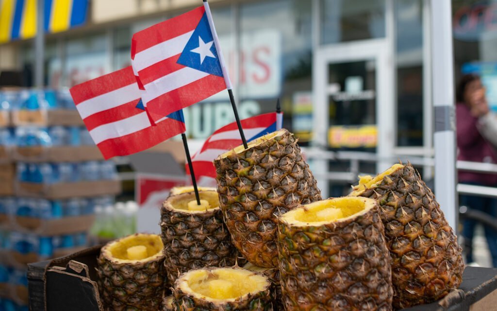 image 464 Lineup 2026