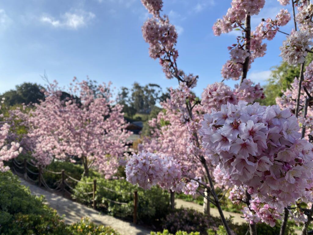 image 519 Lineup 2026