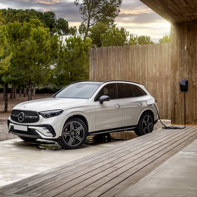 image 54 Lineup 2026