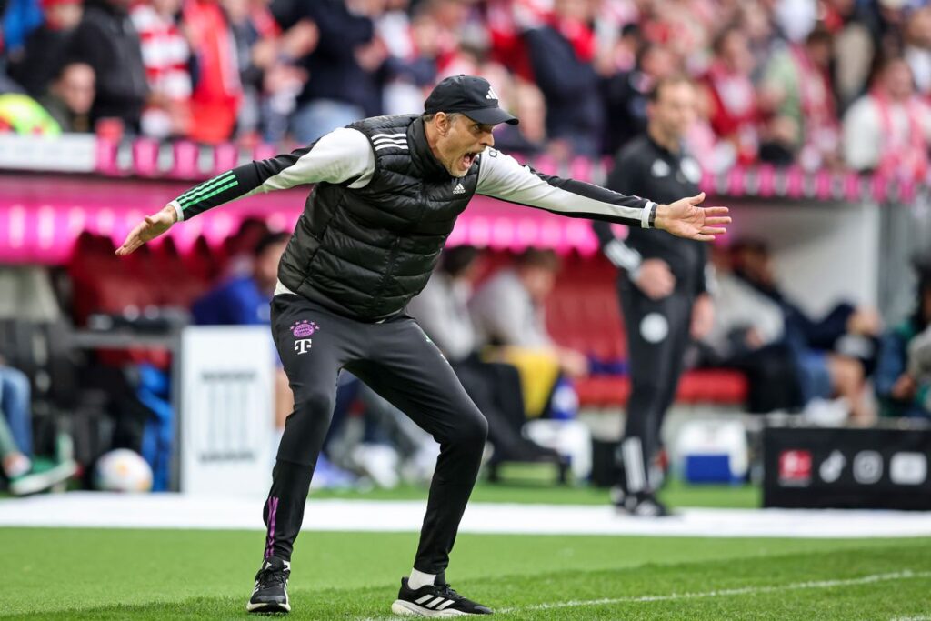 image 554 Lineup 2026