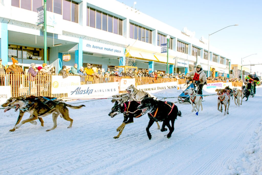 image 569 Lineup 2026