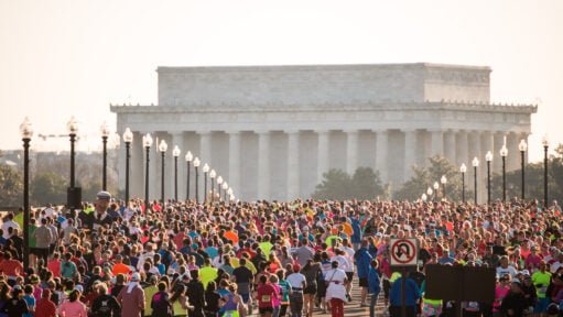 image 598 Lineup 2026