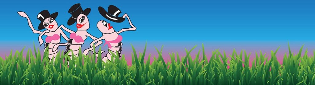 image 608 Lineup 2026