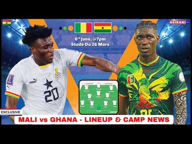 image 674 Lineup 2026