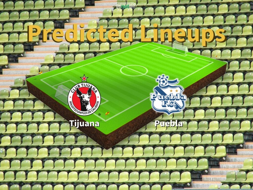 image 685 Lineup 2026