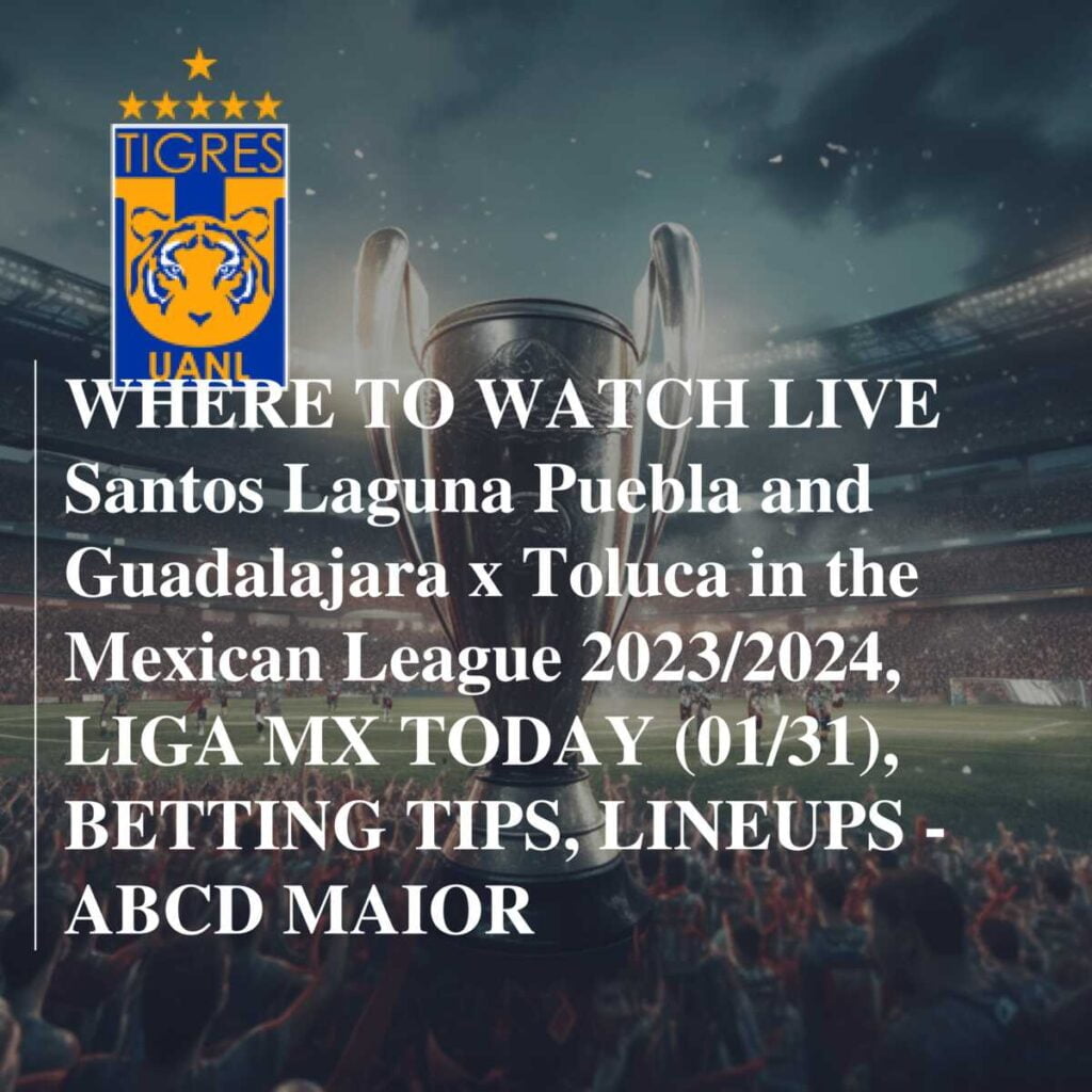 image 705 Lineup 2026