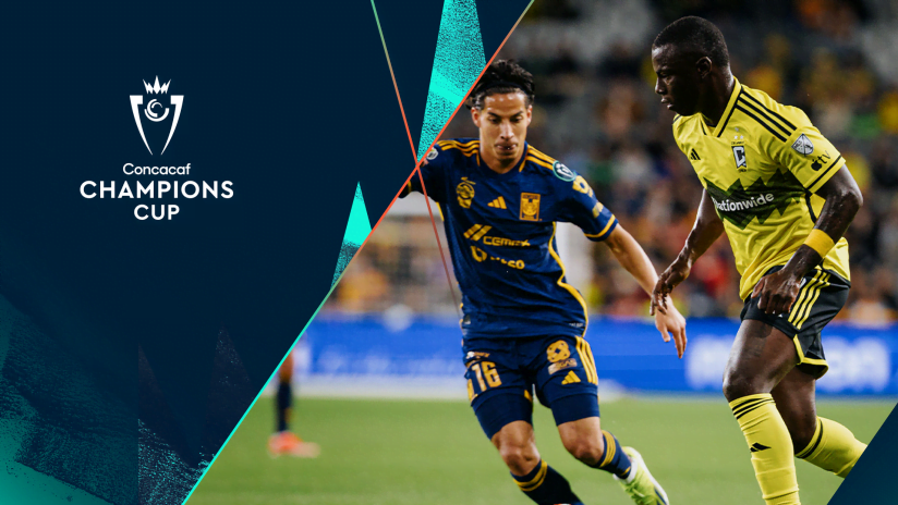 image 82 Lineup 2026