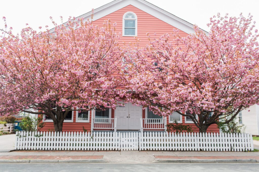 image 100 Lineup 2026