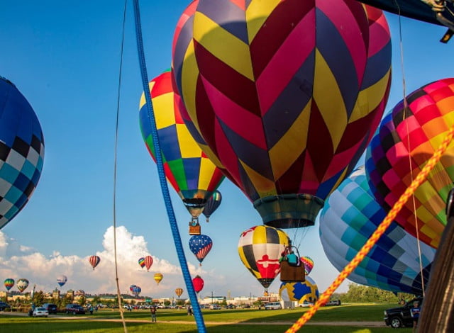 image 101 Lineup 2026