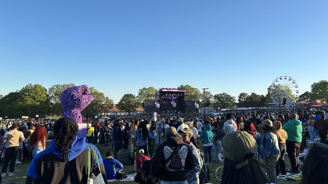 image 118 Lineup 2026