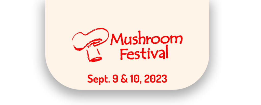 image 126 Lineup 2026