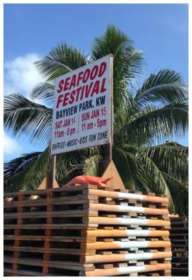 image 126 Lineup 2026